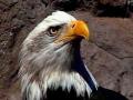 123