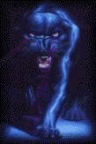 tigre